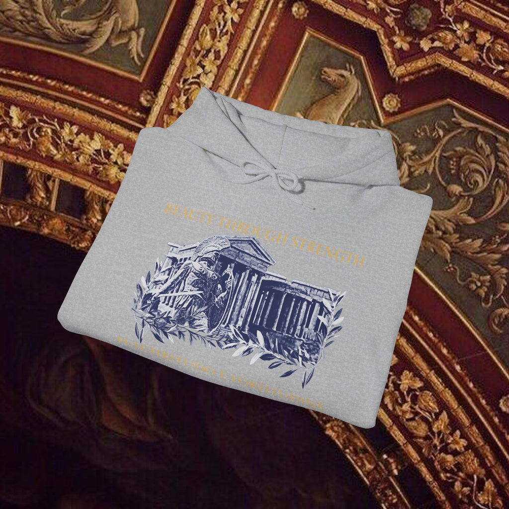 Guardian of the Temple Classically- Inspired Cotton Graphic Hoodie