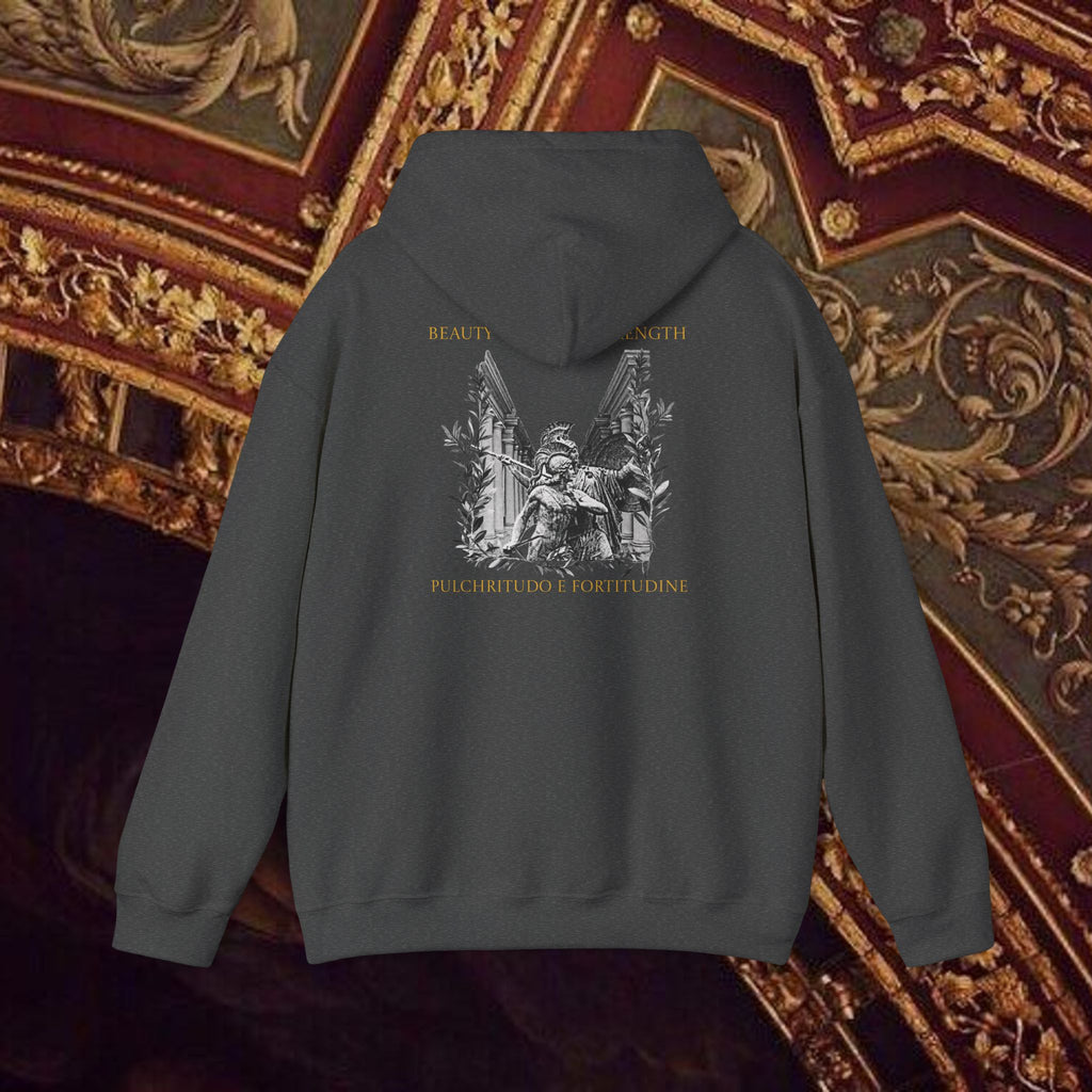 The Goddess's Protection Classically-Inspired Cotton Graphic Hoodie Back Version