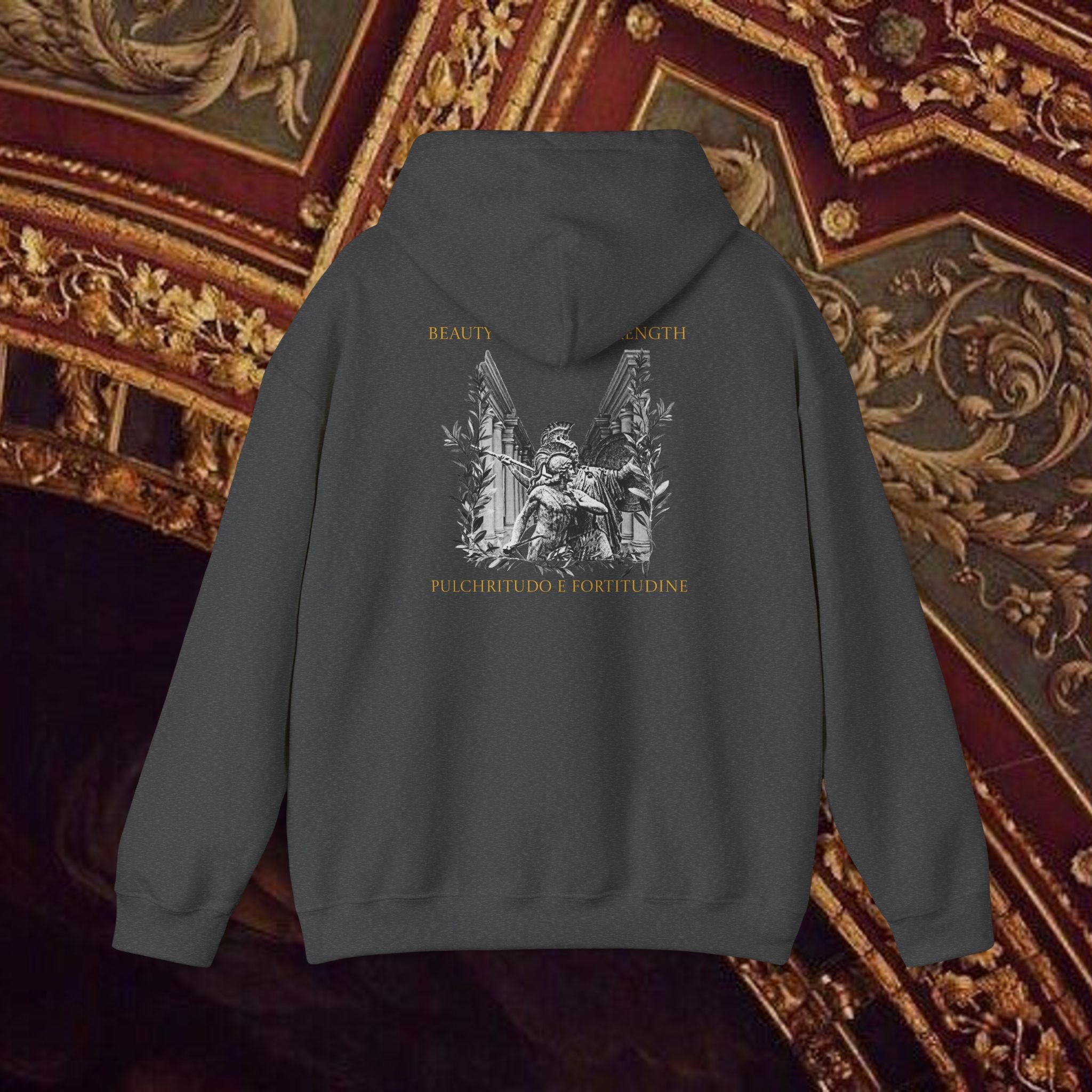 The Goddess's Protection Classically-Inspired Cotton Graphic Hoodie Back Version