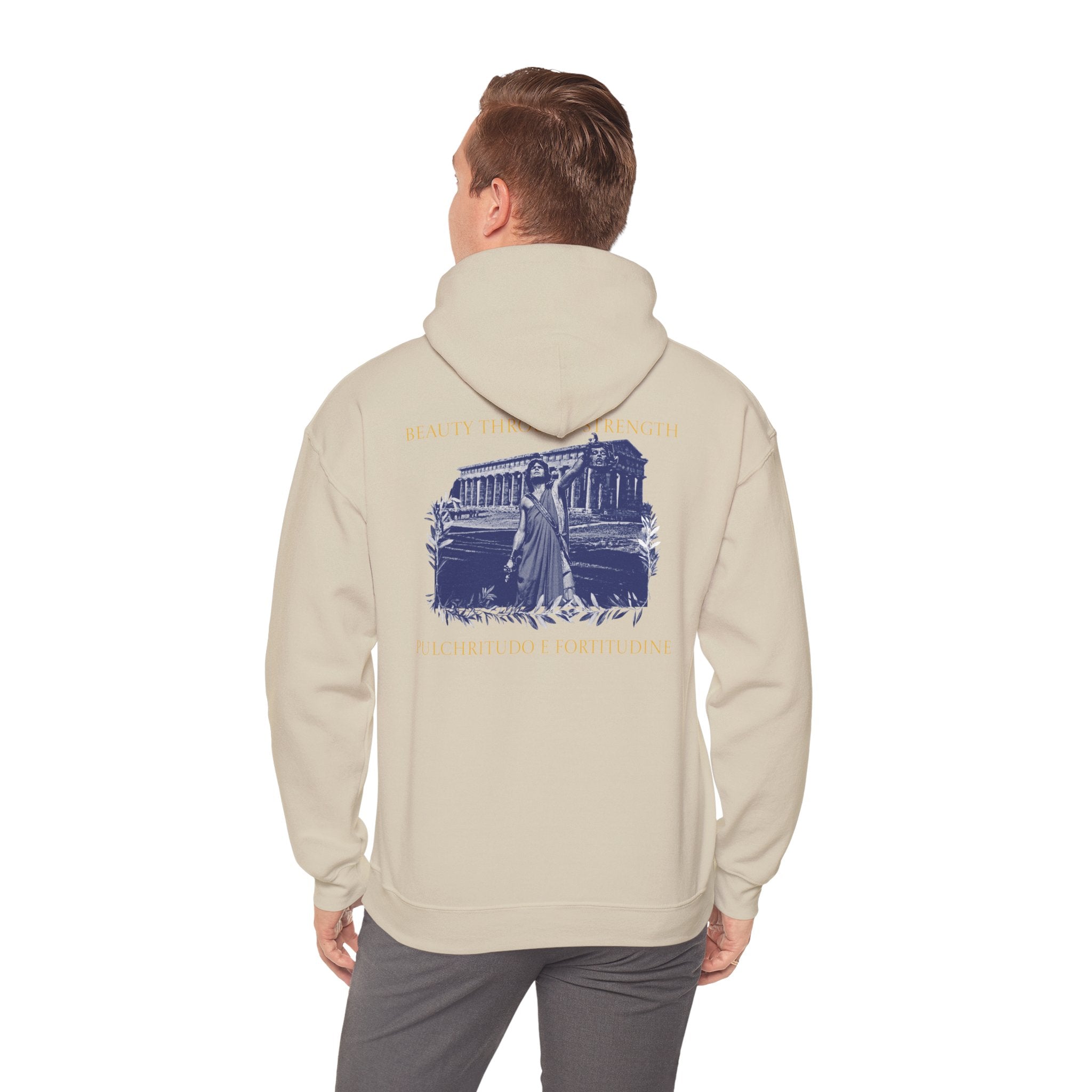 The Hero's Victory Classically-Themed Cotton Graphic Hoodie