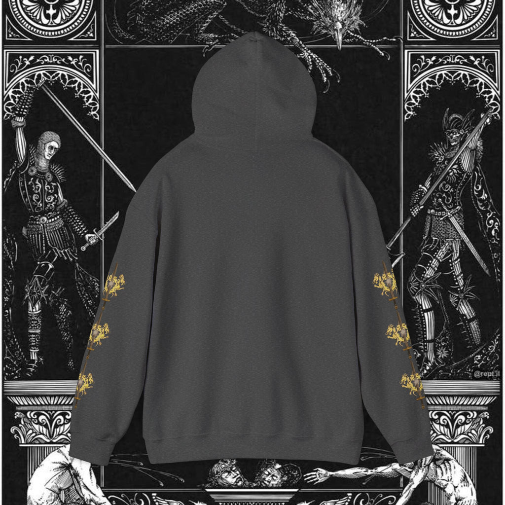 The King's Destiny Medieval Fantasy Graphic Hoodie