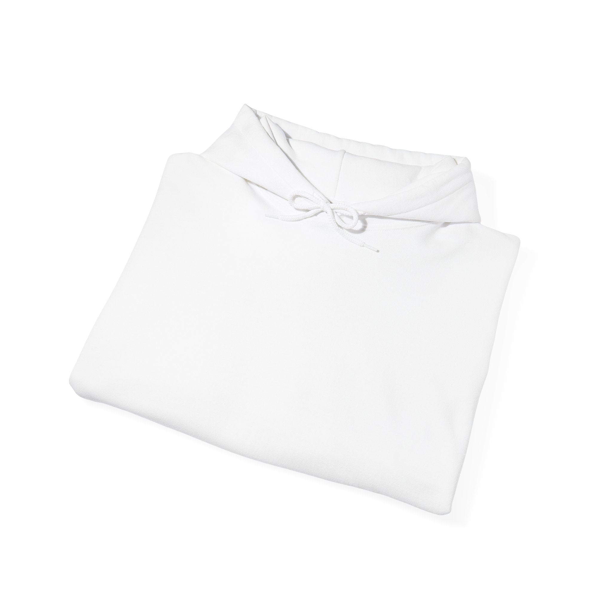 Artic Sun Graphic Hoodie