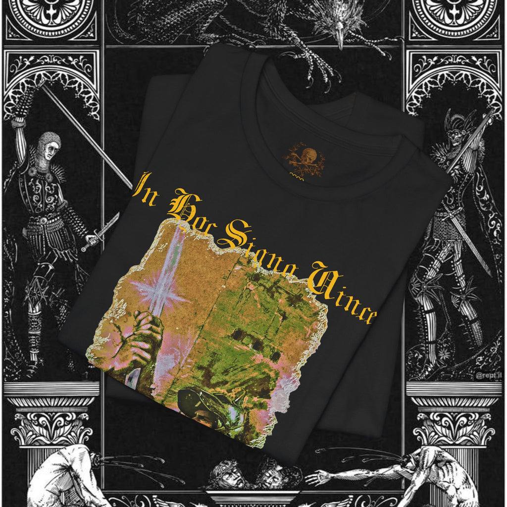 The King's Destiny Medieval Fantasy Graphic T Shirt