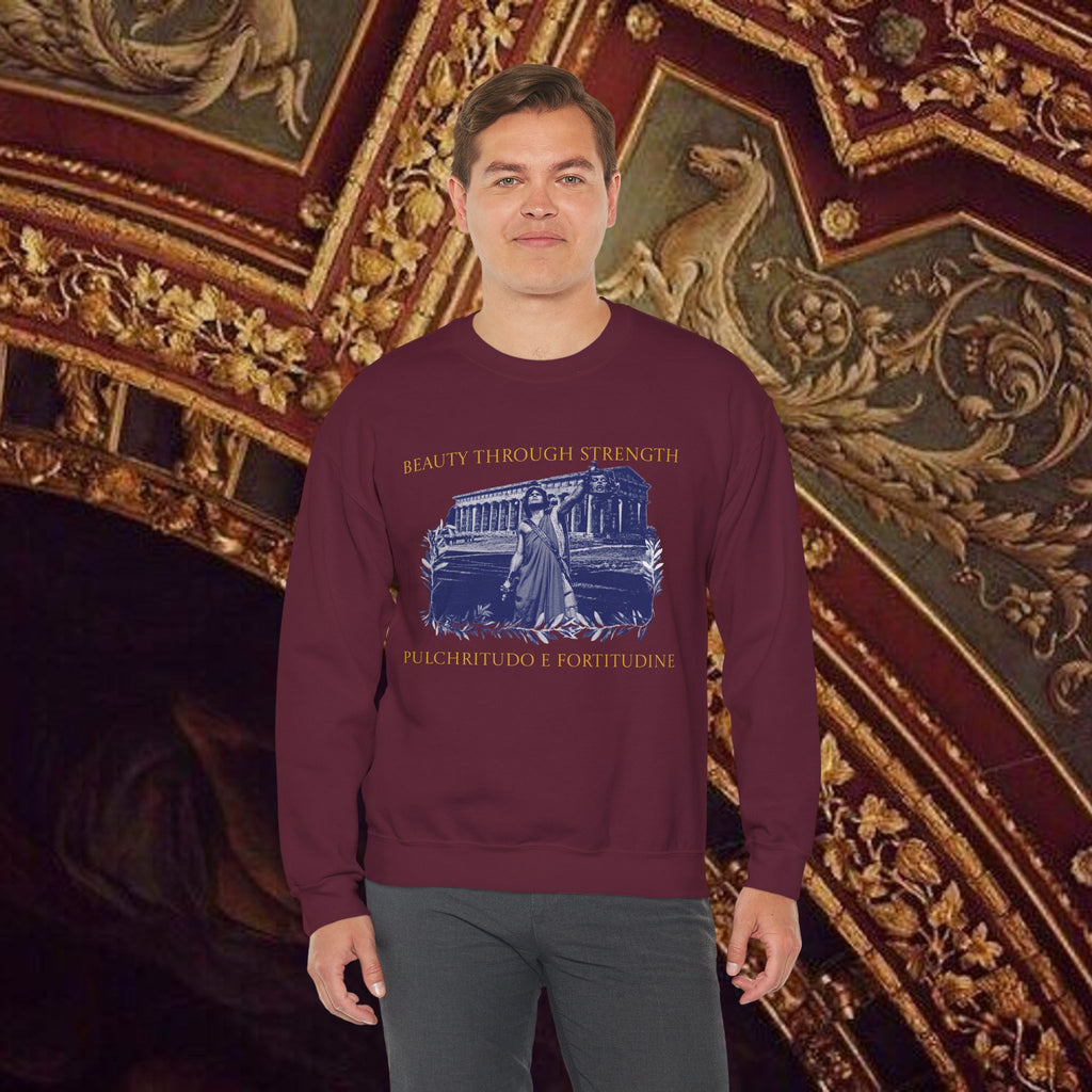 The Hero's Victory Classically-Themed Cotton Graphic T Sweatshirt