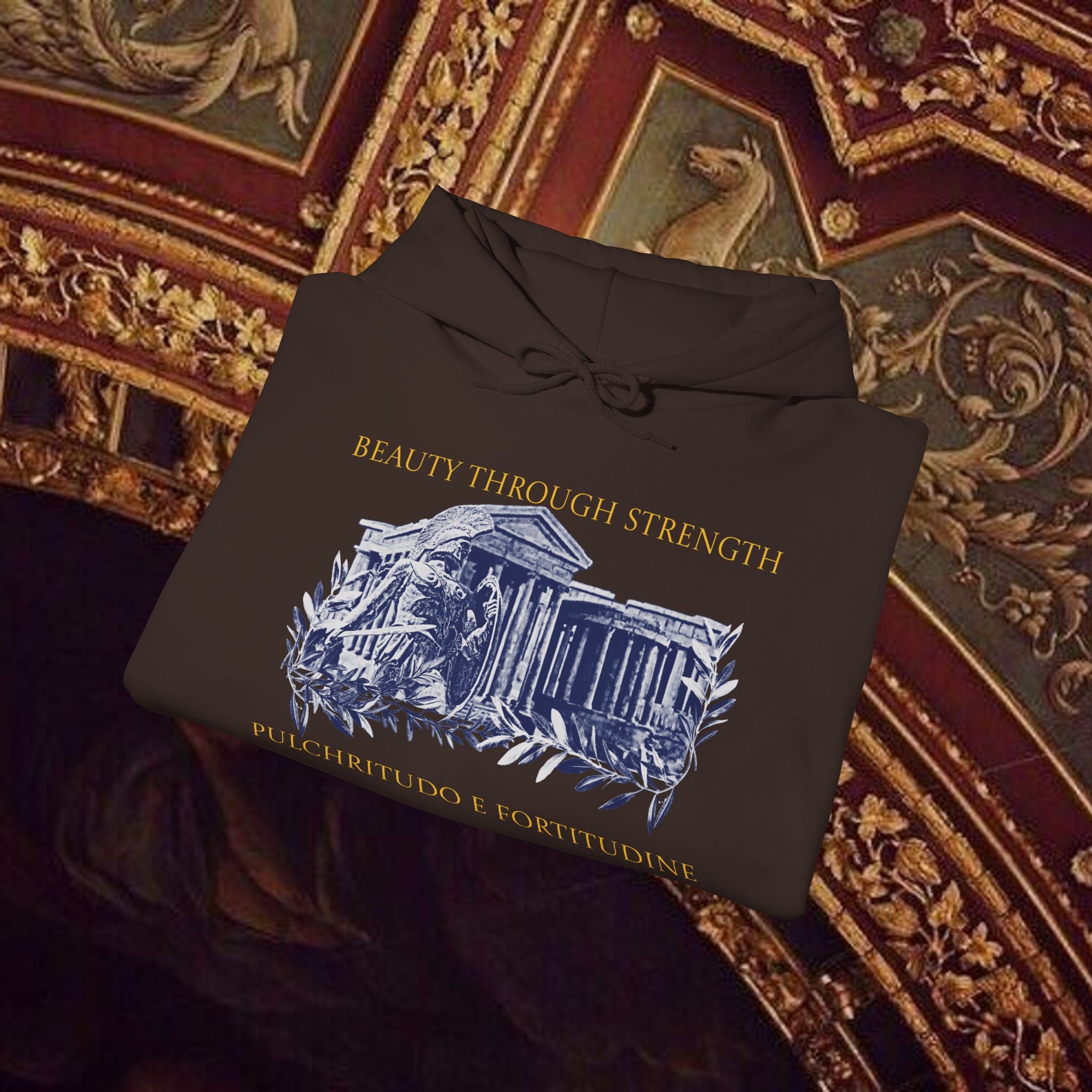 Guardian of the Temple Classically- Inspired Cotton Graphic Hoodie