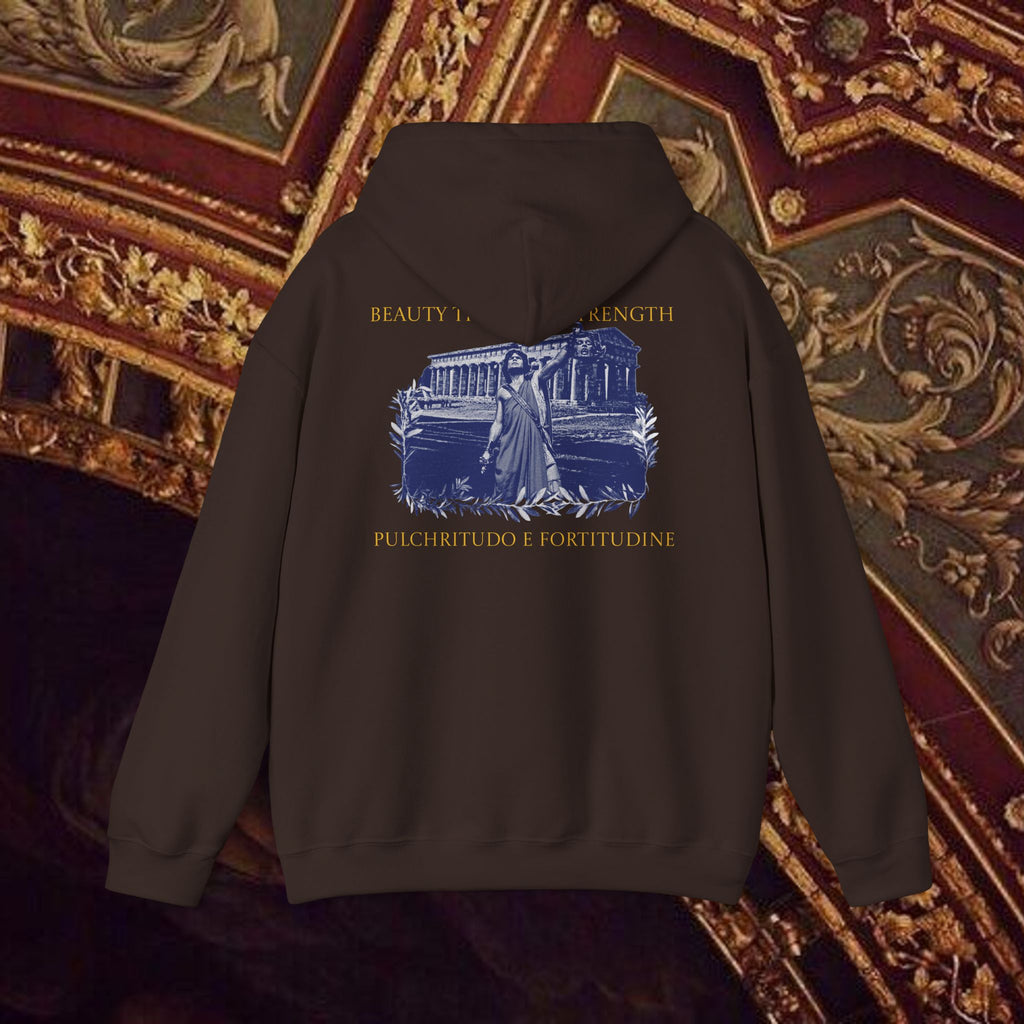The Hero's Victory Classically-Themed Cotton Graphic Hoodie