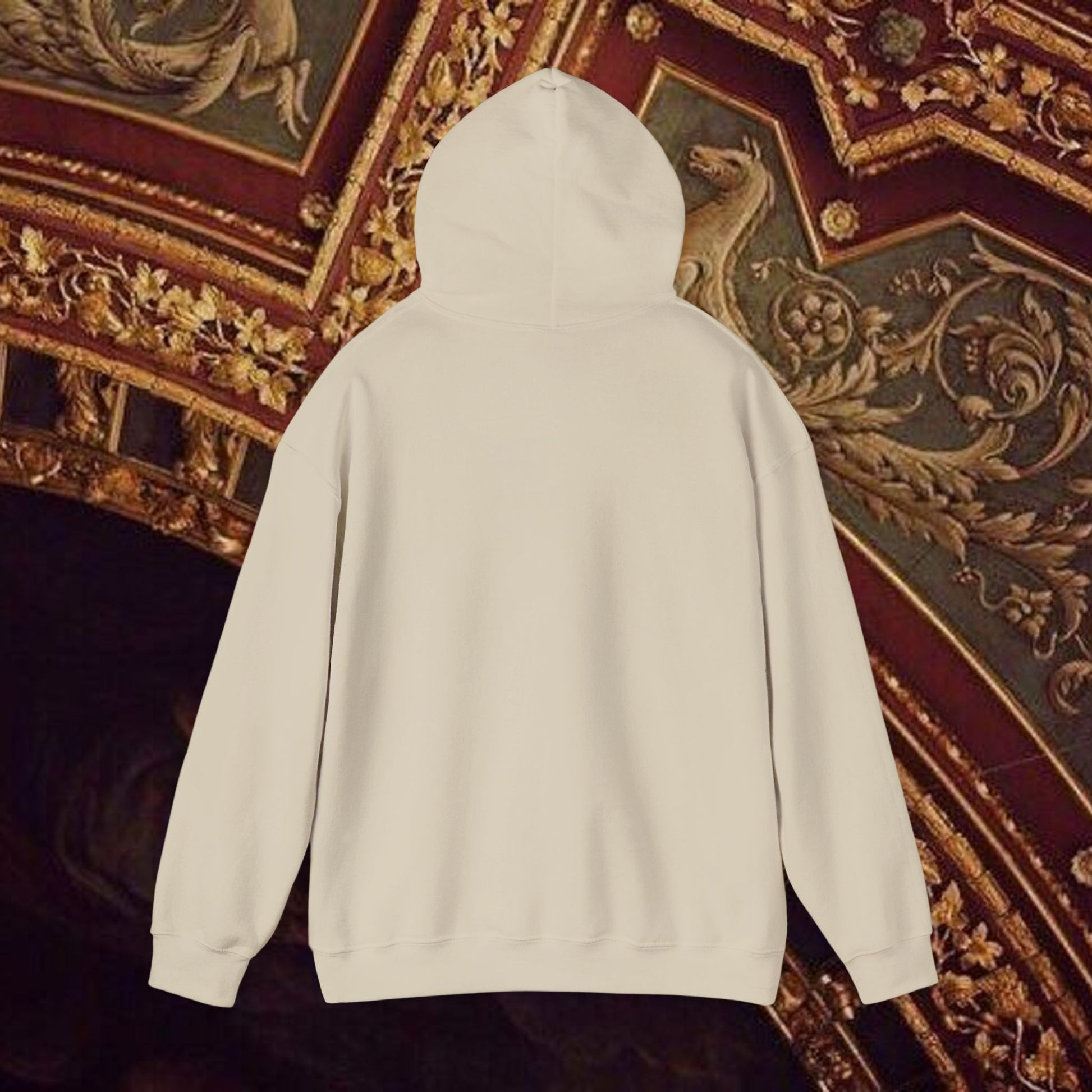 Astrological Vision Hoodie - Esoteric Mystical Graphic Hoodie -Front Version