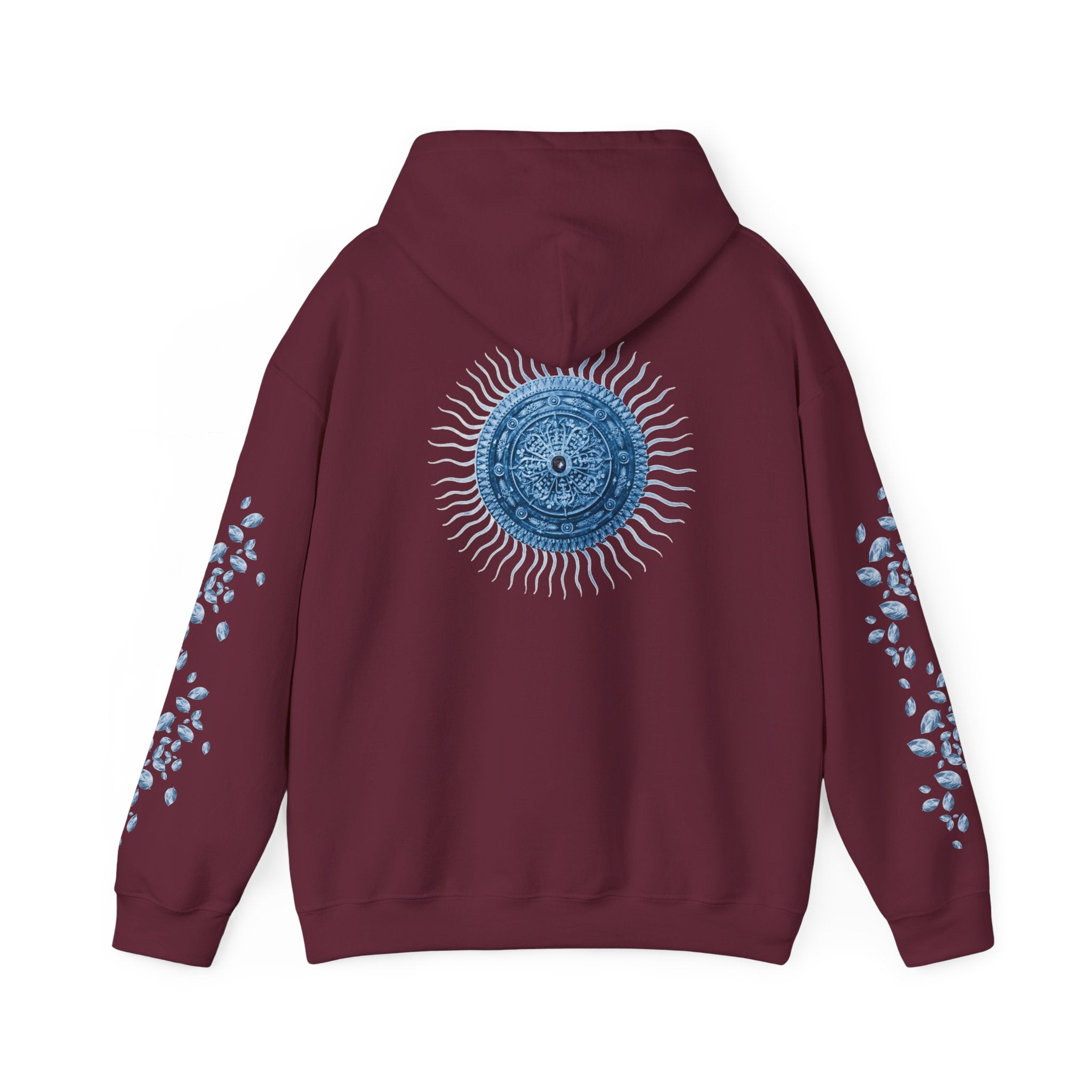Artic Sun Graphic Hoodie
