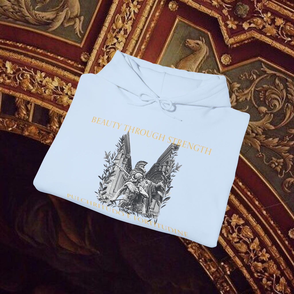 The Goddess's Protection Classically-Inspired Cotton Graphic Hoodie