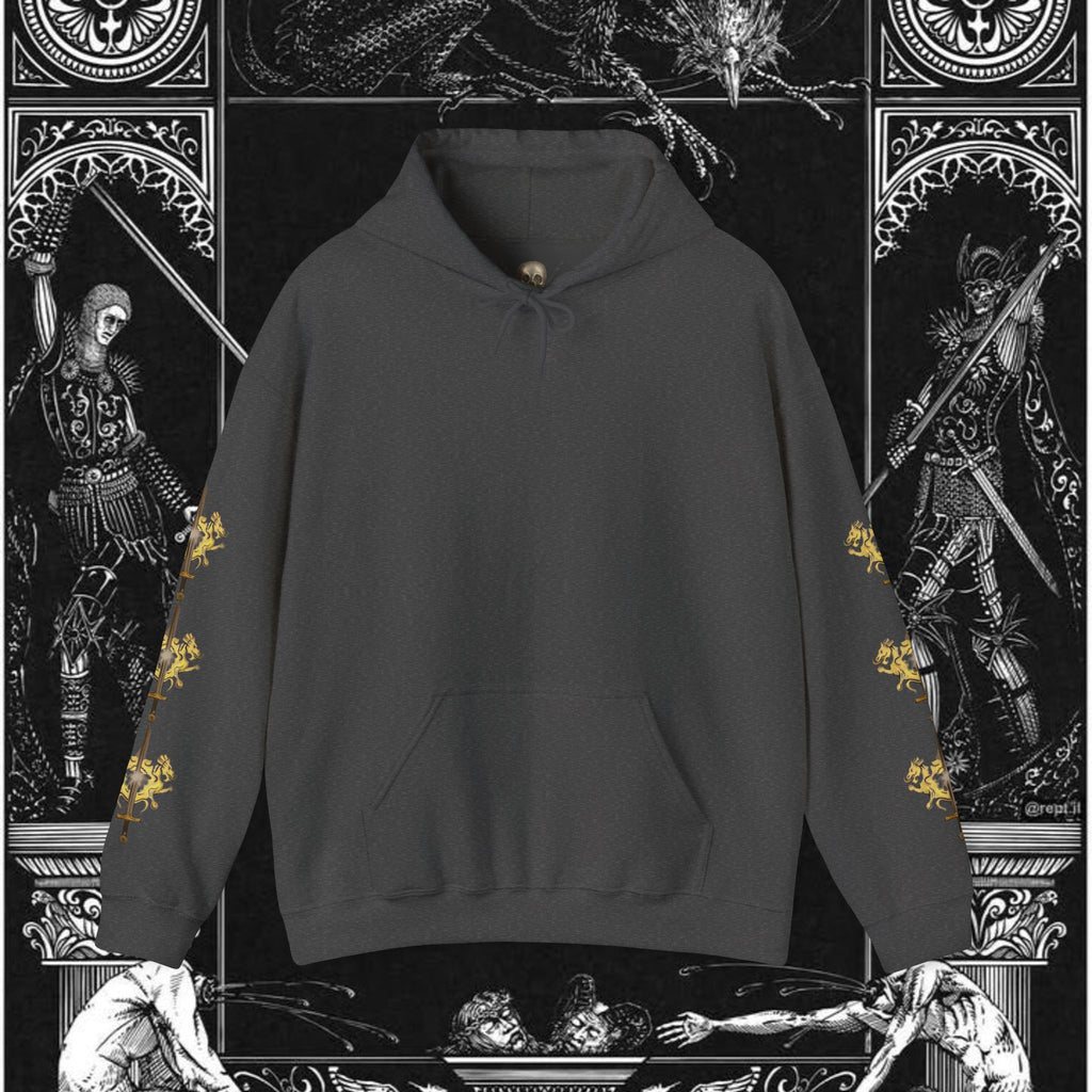 The King's Destiny Medieval Fantasy Graphic Hoodie