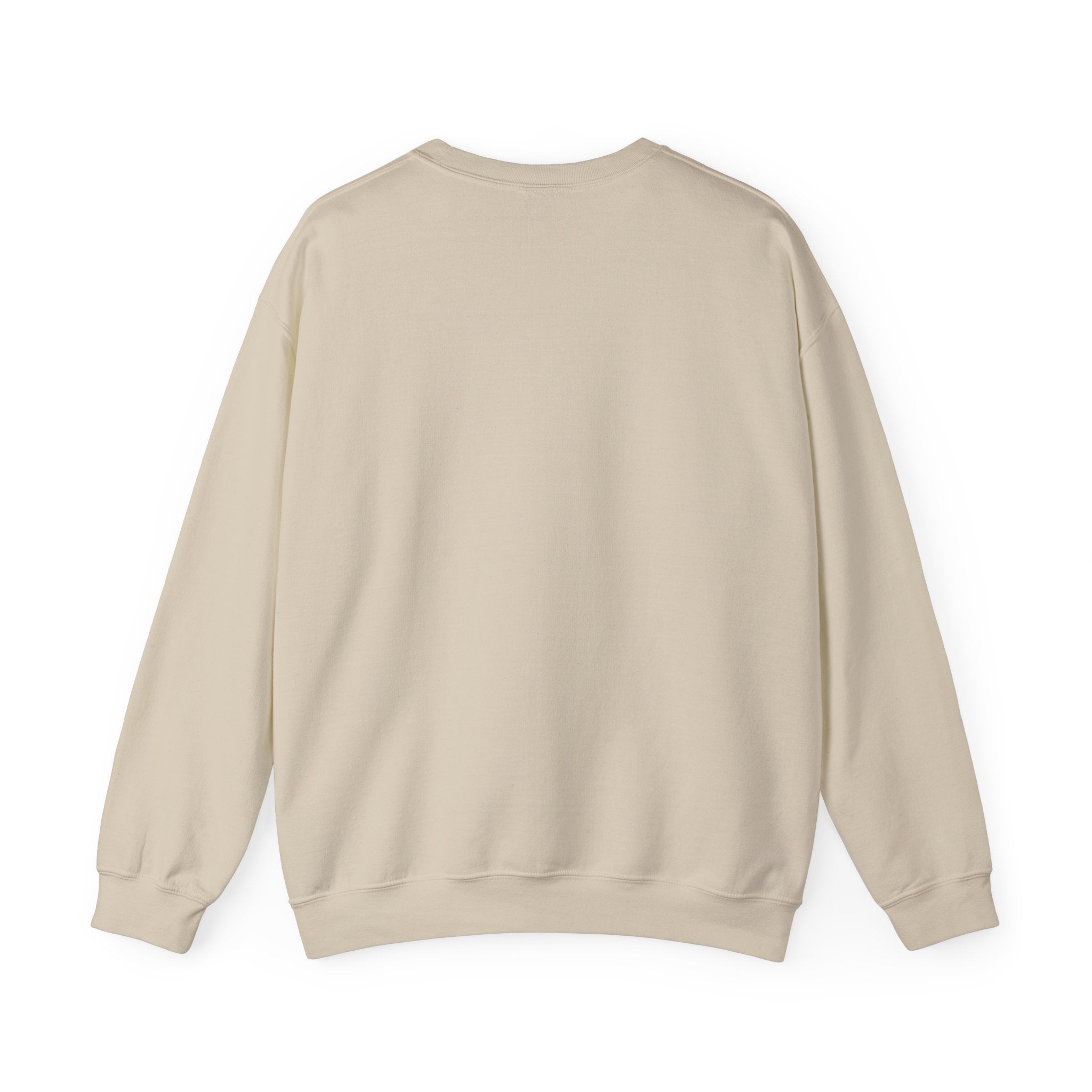 Manuscript of the Ancients Graphic Artistic Sweatshirt