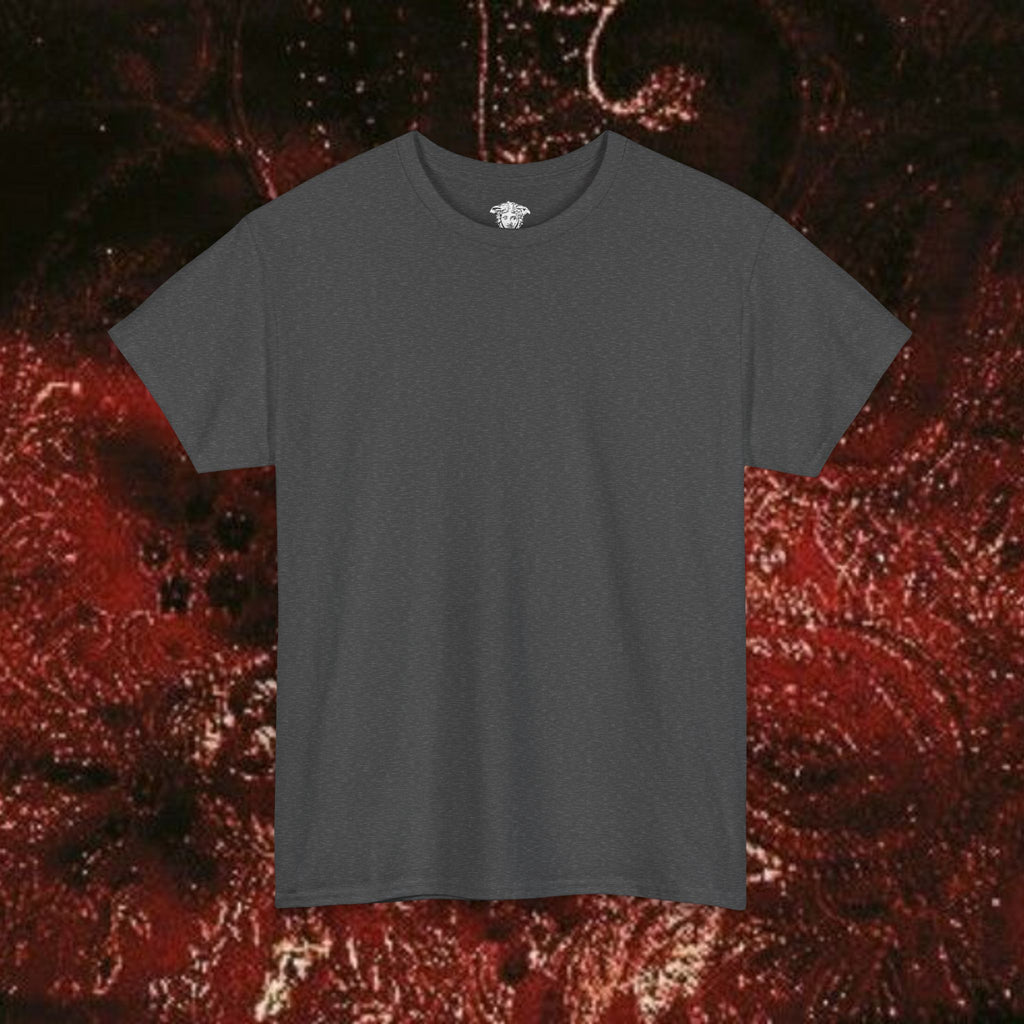 Warrior's Mythos Unisex Tee, Graphic Tee, Mythological Style Shirt Back Version