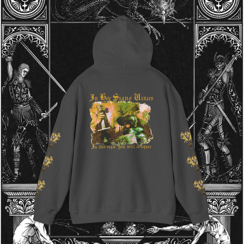 The King's Destiny Medieval Fantasy Graphic Hoodie