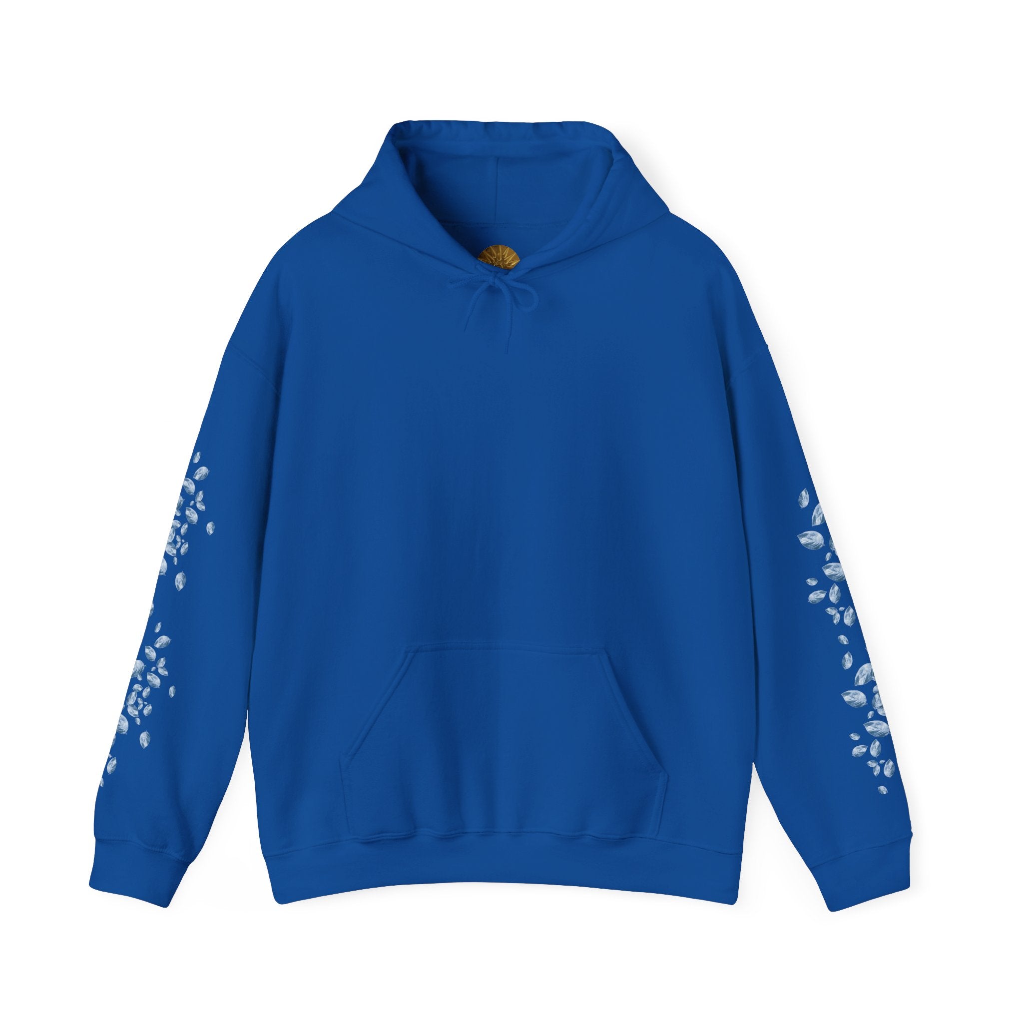 Artic Sun Graphic Hoodie