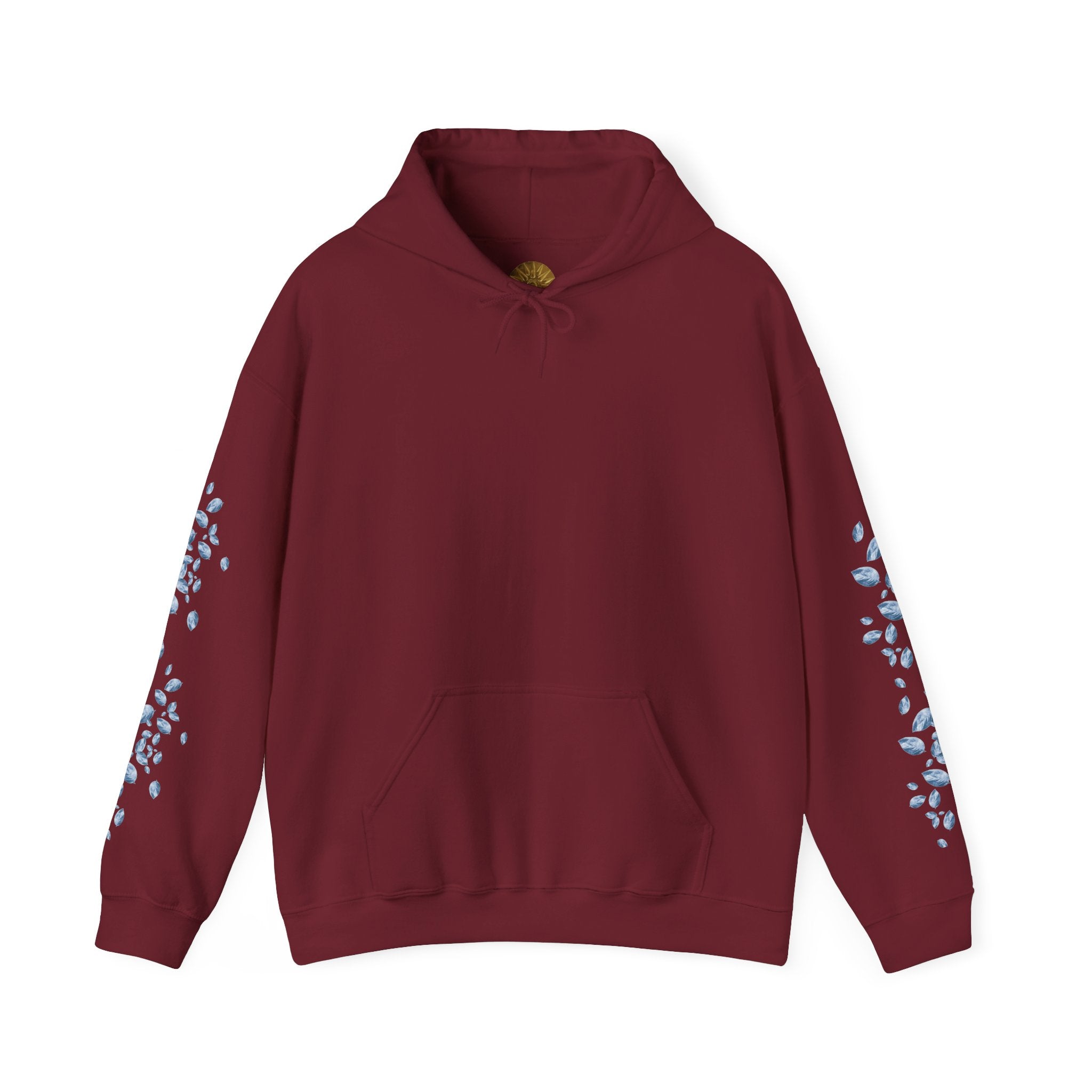 Artic Sun Graphic Hoodie