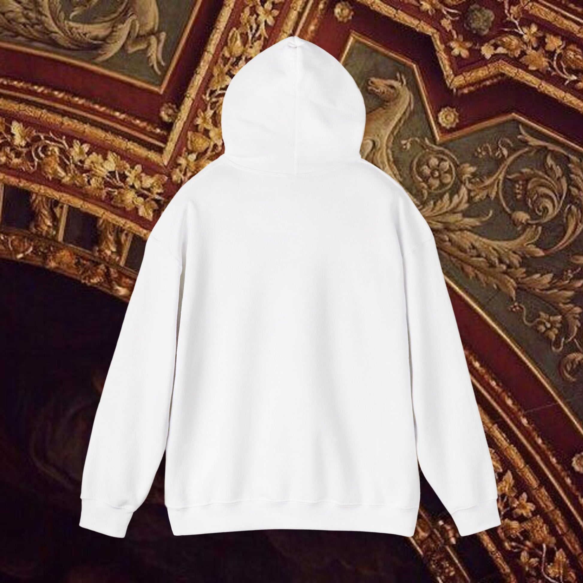 Astrological Vision Hoodie - Esoteric Mystical Graphic Hoodie -Front Version