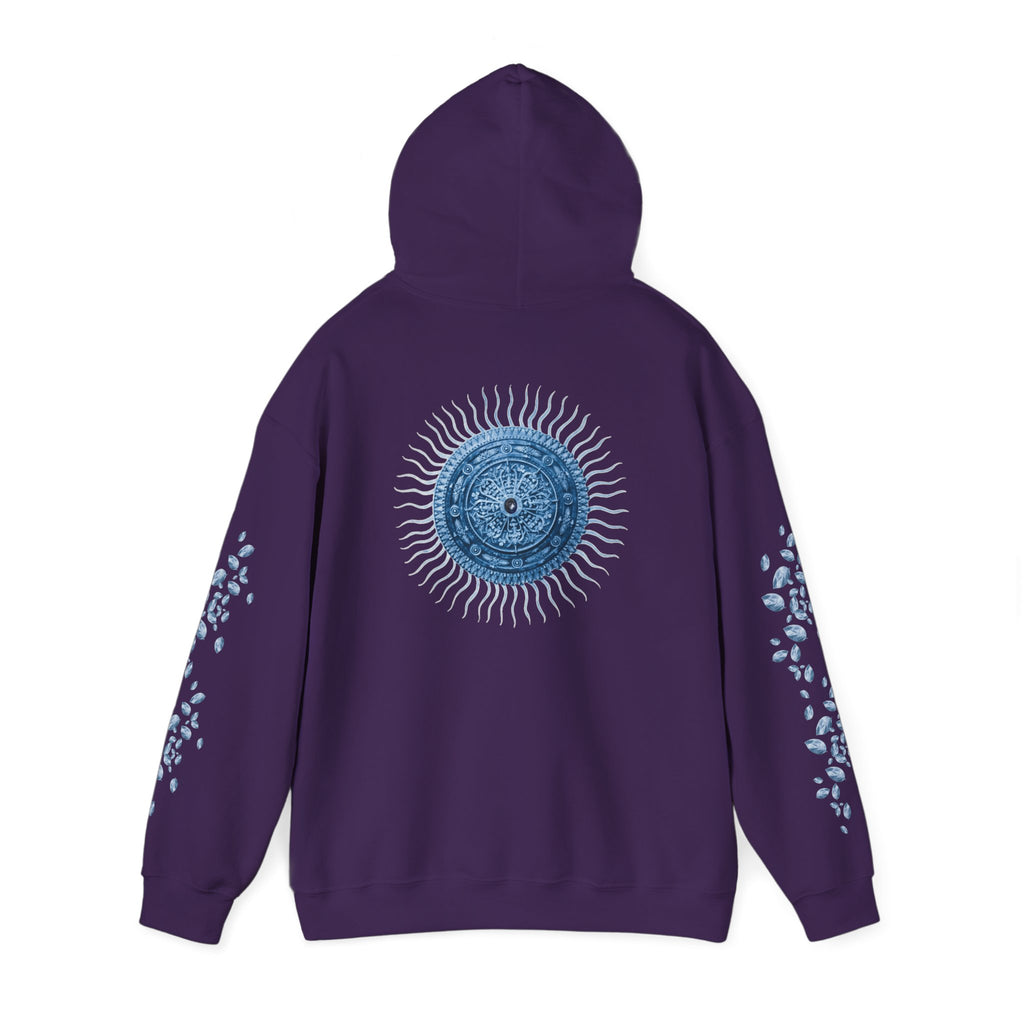Artic Sun Graphic Hoodie