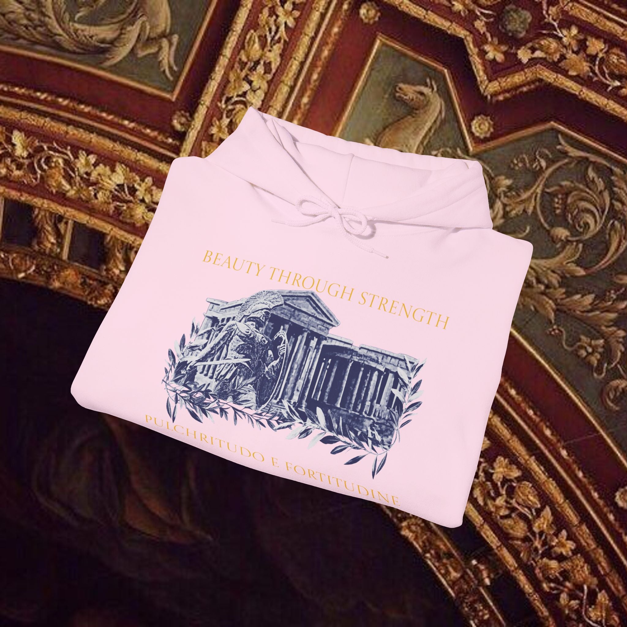 Guardian of the Temple Classically- Inspired Cotton Graphic Hoodie