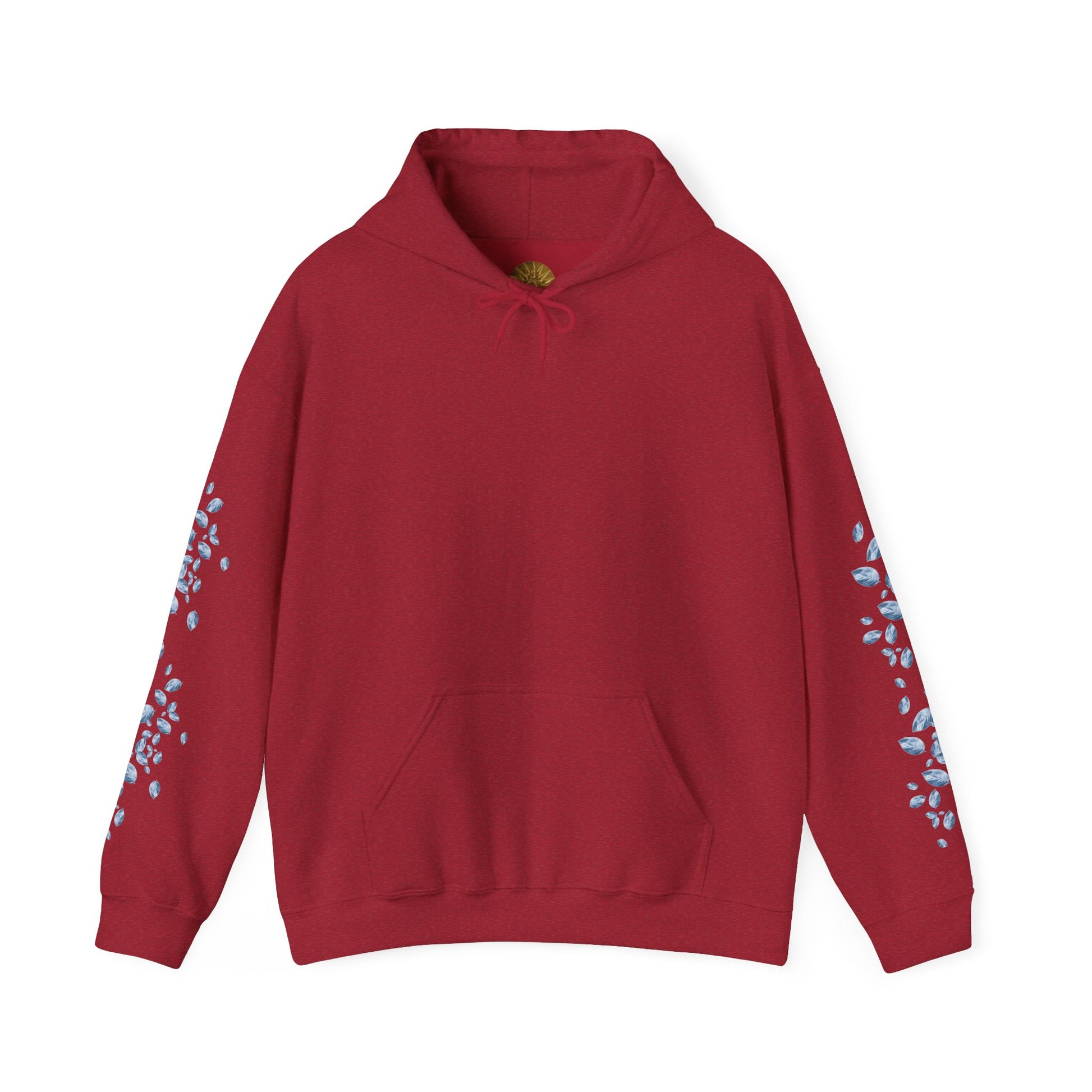 Artic Sun Graphic Hoodie