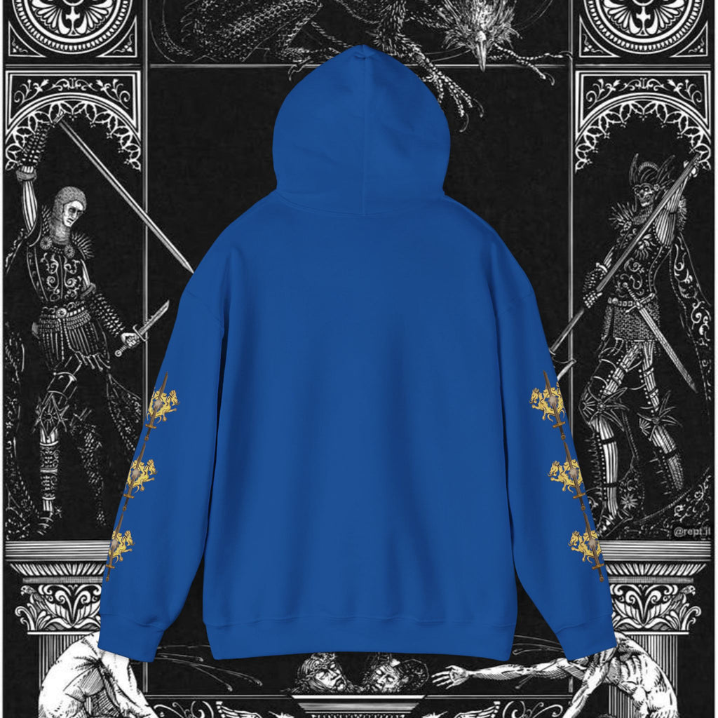 The King's Destiny Medieval Fantasy Graphic Hoodie