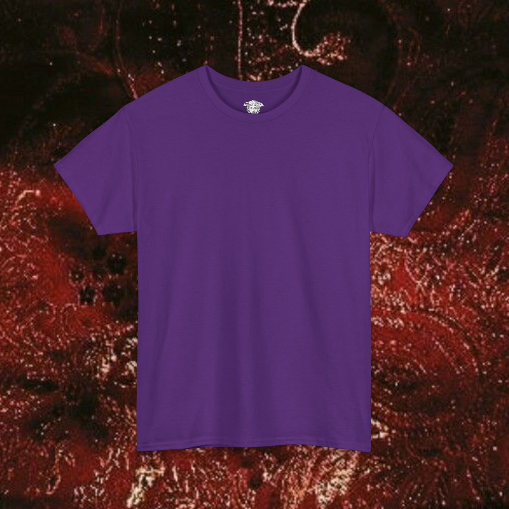 Warrior's Mythos Unisex Tee, Graphic Tee, Mythological Style Shirt Back Version