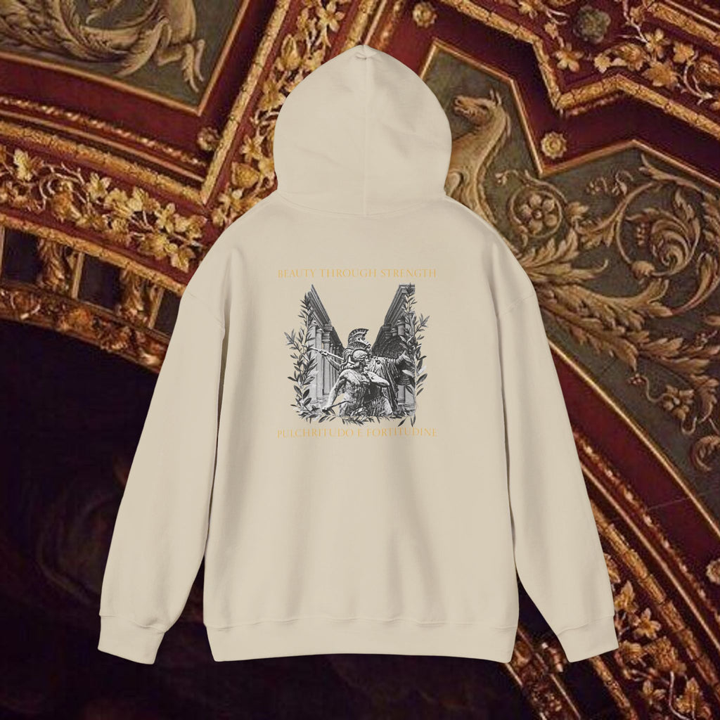The Goddess's Protection Classically-Inspired Cotton Graphic Hoodie Back Version
