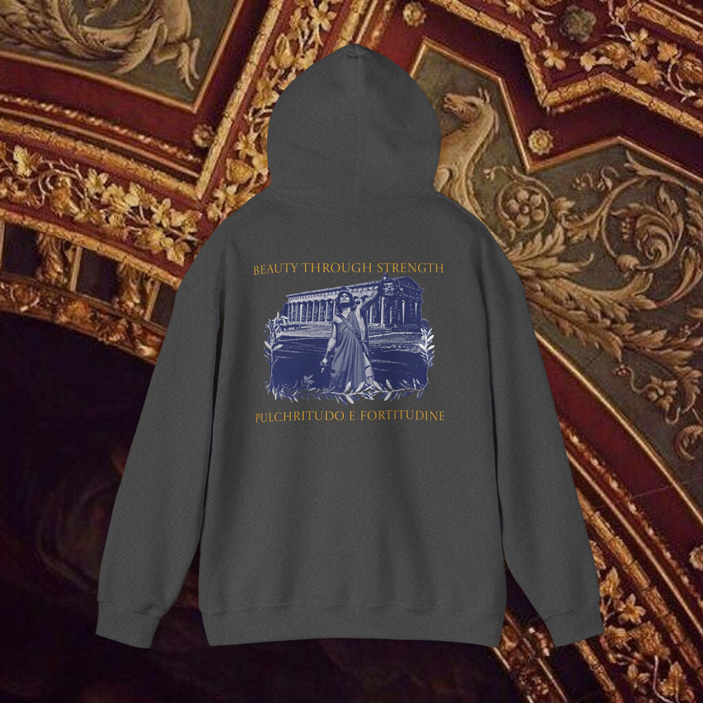 The Hero's Victory Classically-Themed Cotton Graphic Hoodie