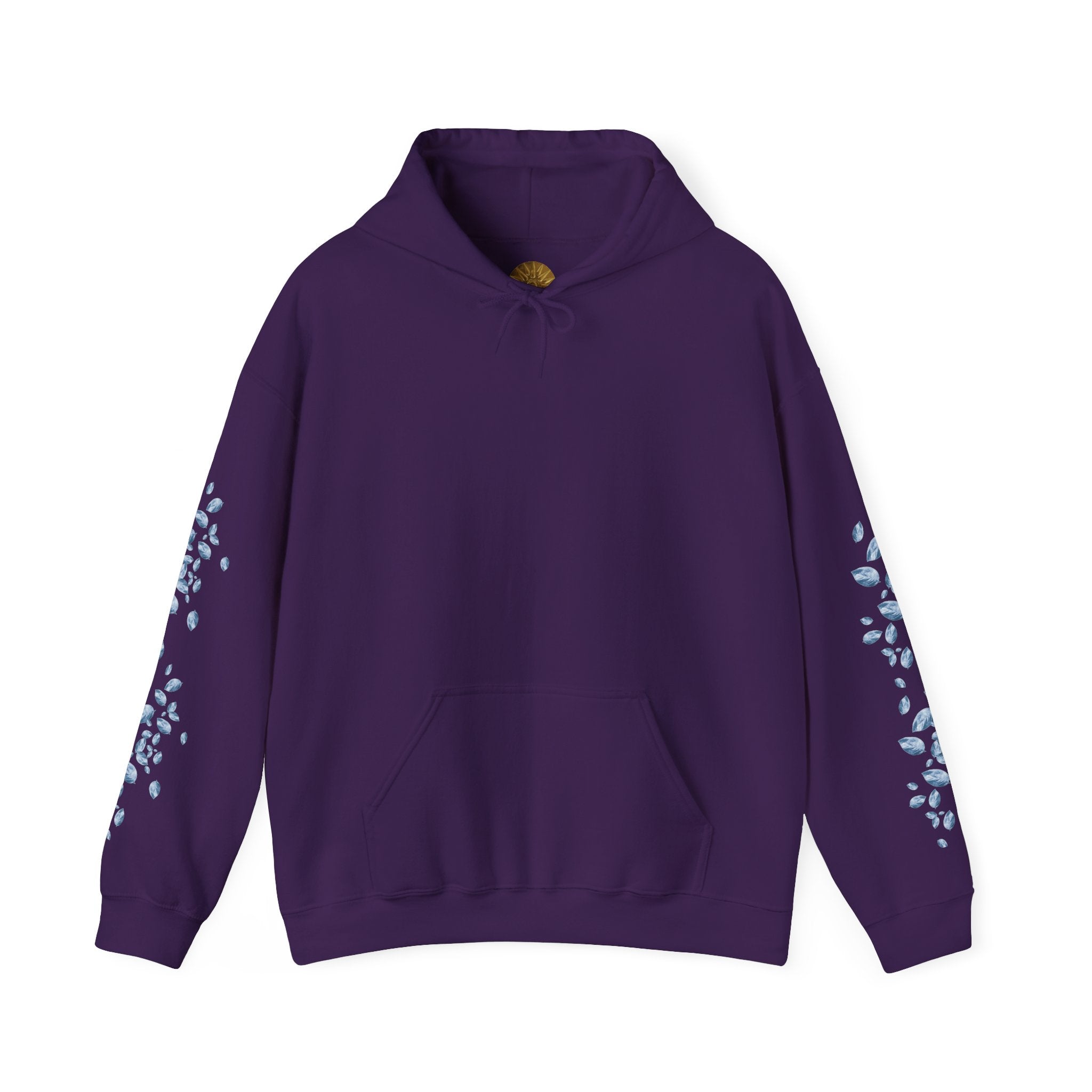 Artic Sun Graphic Hoodie