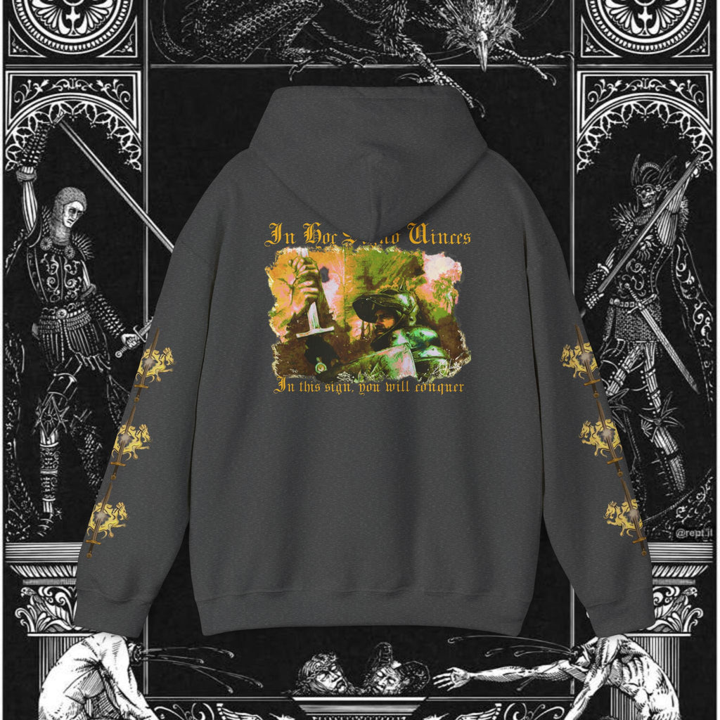The King's Destiny Medieval Fantasy Graphic Hoodie