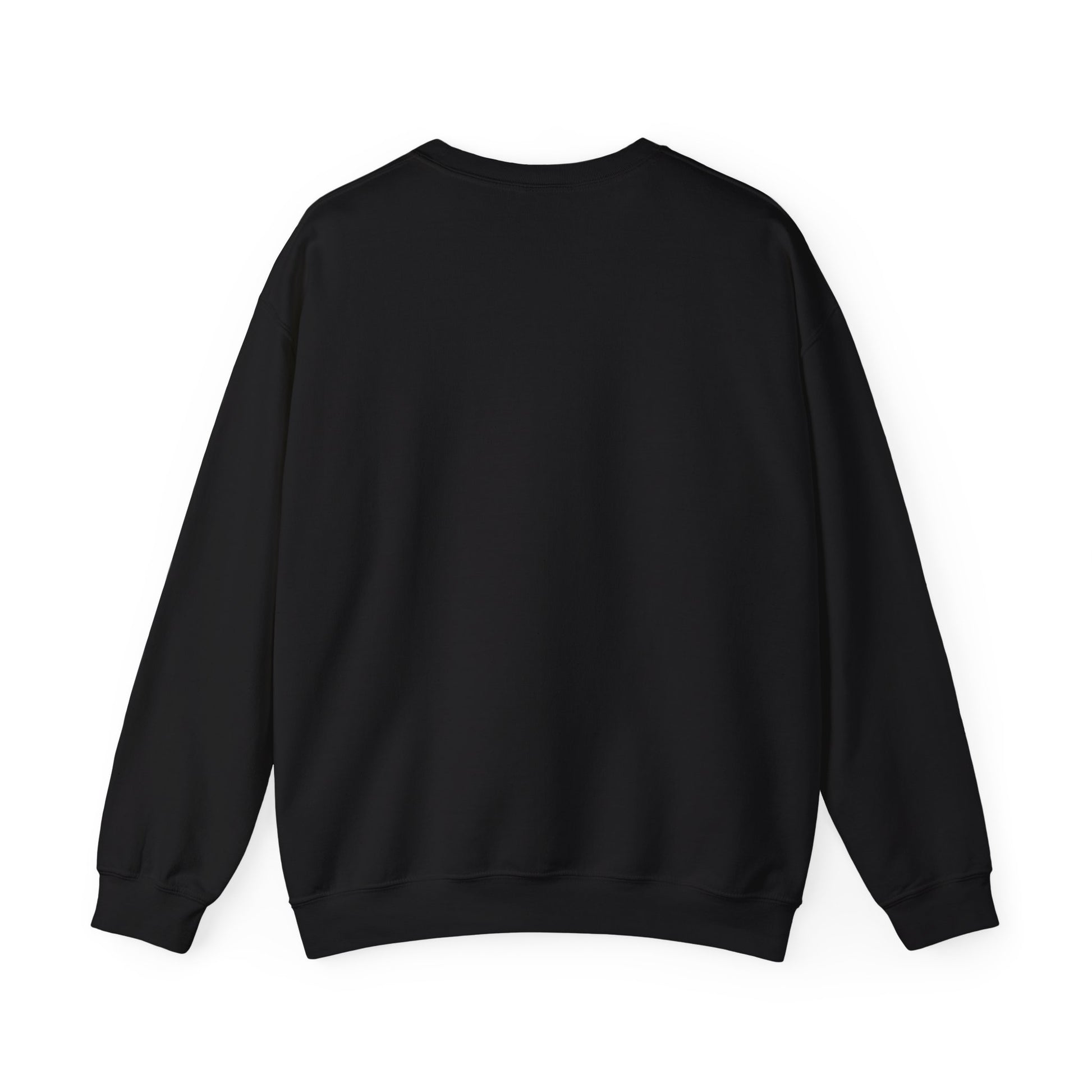 Manuscript of the Ancients Graphic Artistic Sweatshirt
