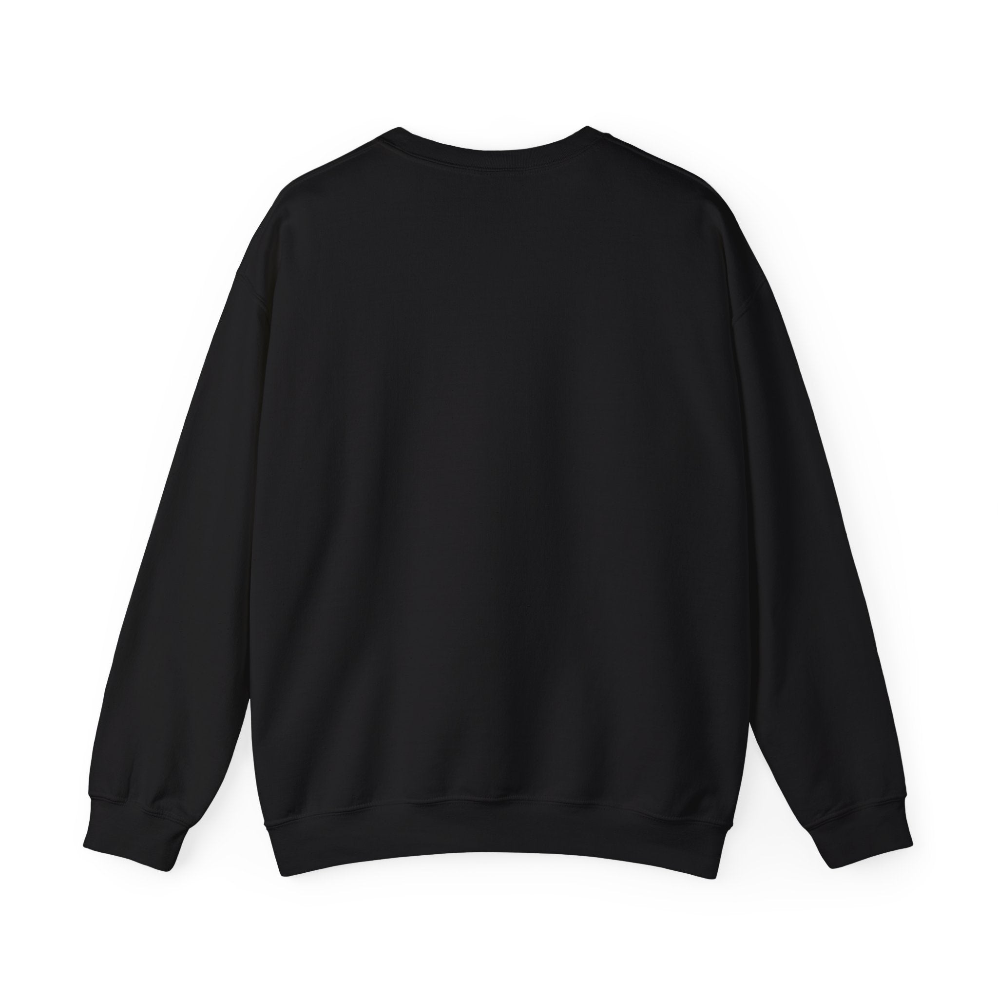 Manuscript of the Ancients Graphic Artistic Sweatshirt